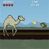PARROT VS CAMELS