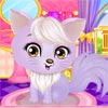 Game CARING FOR PETS PRINCESS