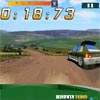 Game OVERTAKING ON DIRT IN RALLY 2014