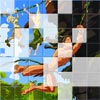 TARZAN ON THE PUZZLE