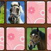 Game MEMORI: HORSES