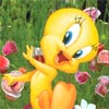 TWEETY PUZZLE