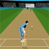 Game CRICKET MASTER