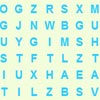 FIND 17 WORDS