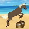 HORSE ON THE BEACH WITH OBSTACLES