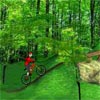 MOUNTAIN BIKE 2