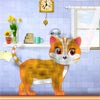 CAT GROOM 2