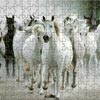 Game JIGSAW PUZZLES: WHITE HORSES