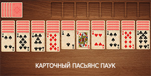 SPIDER CARDS SOLITAIRE
